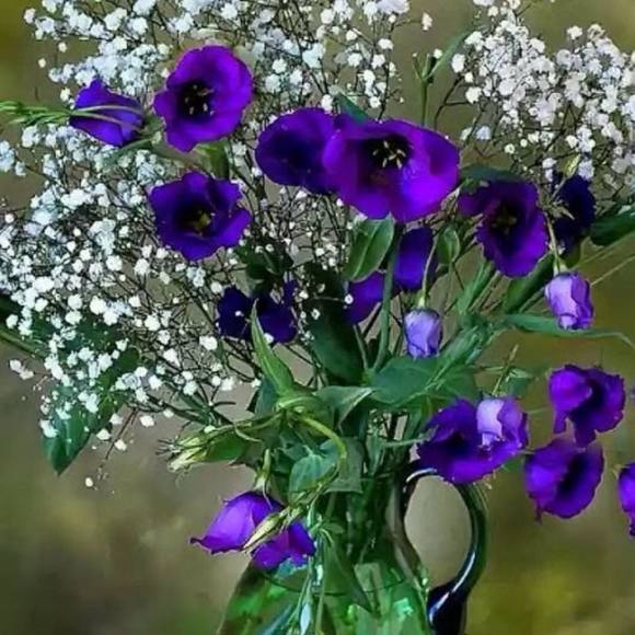 Meet your Posher, Leslie - Picture 1 of 1